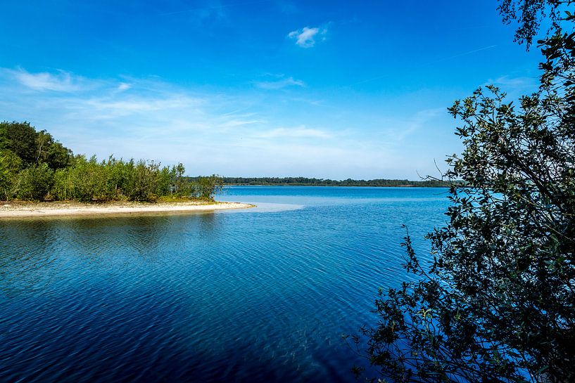 Reindermeer by Jaap Mulder