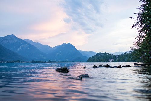 Schwimmen bei Sonnenuntergang