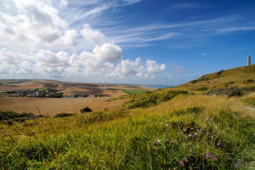 dune landscape
