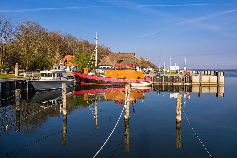 Fischkutter im Hafen von Kloster auf der Insel Hiddensee von Rico Ködder