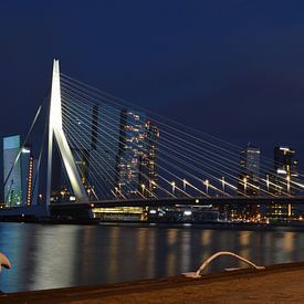 Erasmus-Brücke Rotterdam von Daphne Haaijer