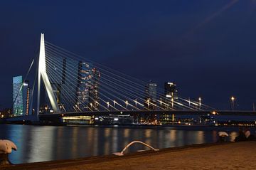 Erasmusbrug Rotterdam van Daphne Haaijer