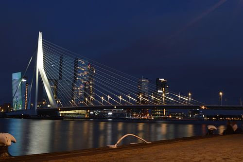 Erasmus-Brücke Rotterdam