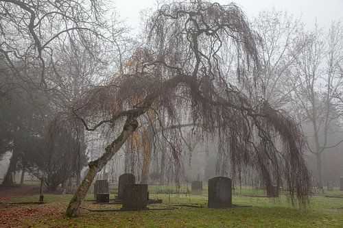 treurberk over graven