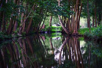 Spreewald-Impressie 5.0 van Ingo Laue