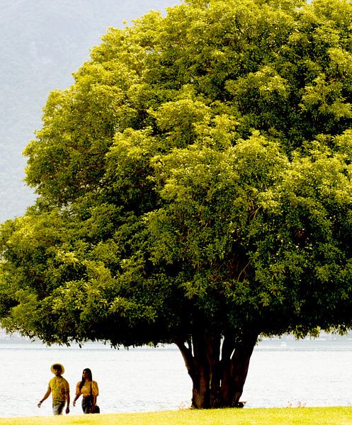 Waterfront walk by Foto Studio Labie