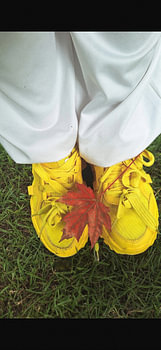Die Jahreszeiten wechseln. Herbst-Print.