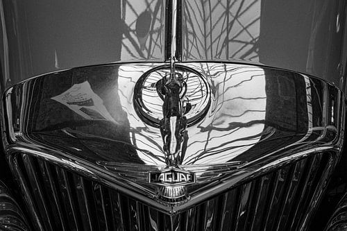 Kühlerkunst – Figuren, Embleme, Fronten