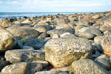 Stenen strand in Denemarken aan zee van Martin Köbsch