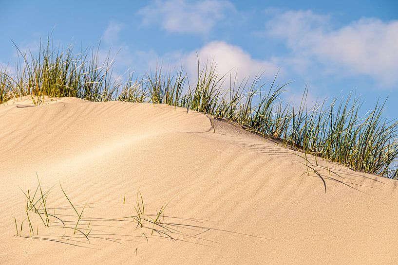 Sand dune on top of dunes near Castricum by Rutger van der Klip
