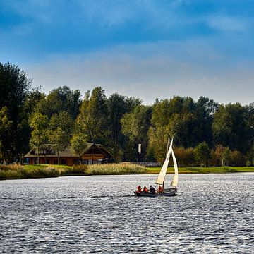 sailing on the Zoetermeer lake by Ton Van Zeijl