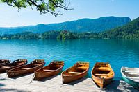 Ruderboote auf dem See von Bled