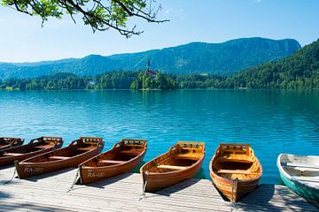 Roeiboten aan het meer van Bled