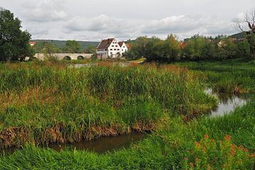 Landschapsfoto - dorp in het moeras