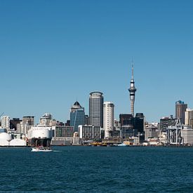Uitzicht op Auckland, Nieuw-Zeeland von Frank den Hond