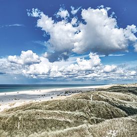 The view over the dunes by Florian Kunde