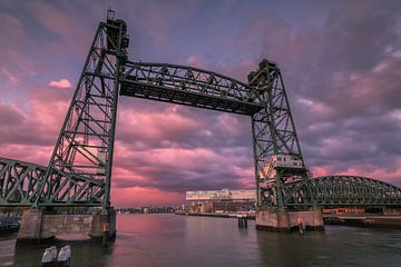 Coucher de soleil au Hef à Rotterdam sur Ilya Korzelius