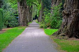 Orthen, Friedhof von Hans Janssen
