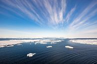 Noordelijke IJszee bij Spitsbergen van Gerald Lechner thumbnail