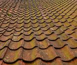 Dachziegel in Nahaufnahme von Corrie Ruijer Miniaturansicht