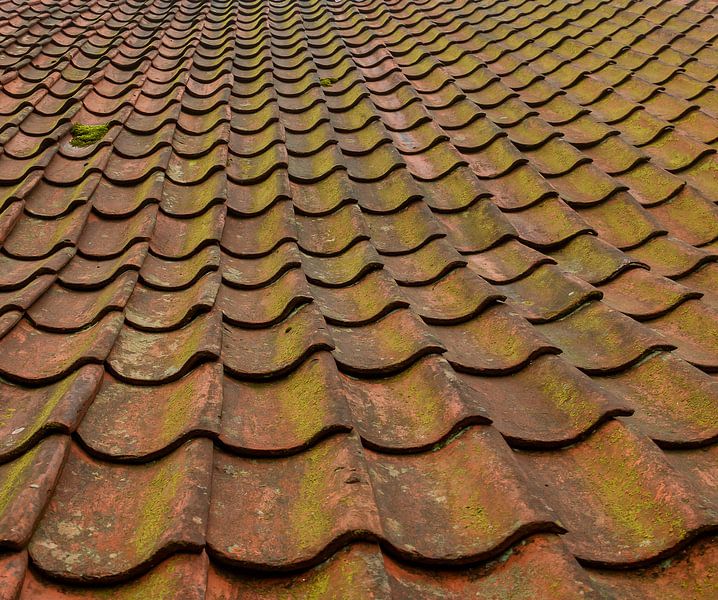 Dachziegel in Nahaufnahme von Corrie Ruijer