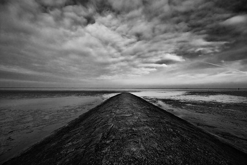 Wattenmeer van Malte Pott