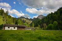 L'été à l'alpage de Chiemgau dans les Alpes bavaroises