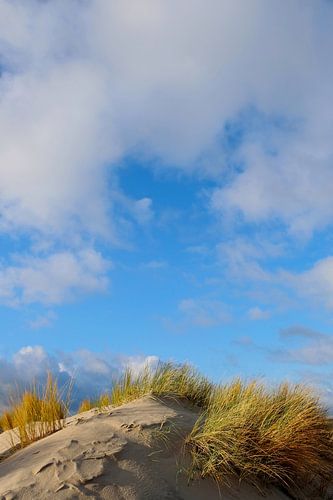 Dünenlandschaft Im Dezember von Ostsee Bilder