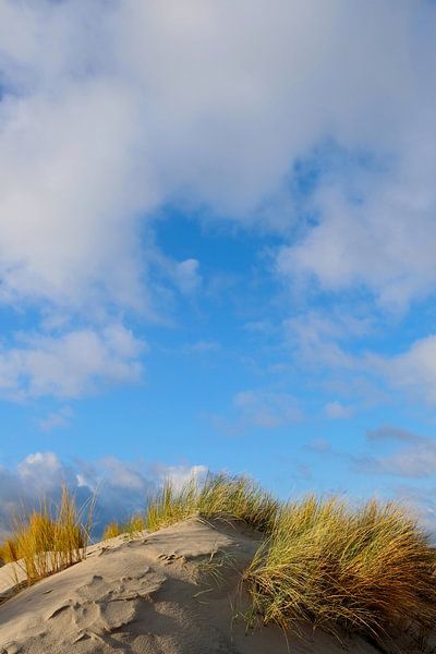 Dünenlandschaft Im Dezember by Ostsee Bilder