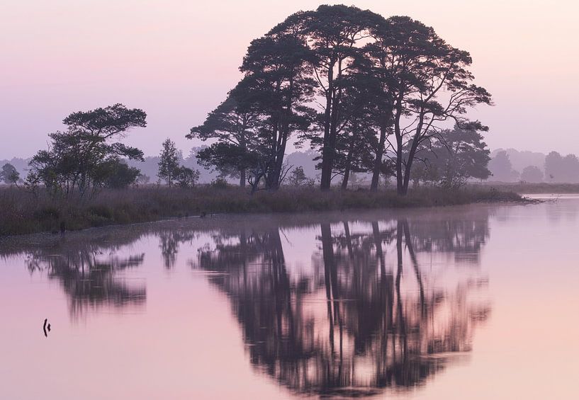 Dwingelderveld - Drenthe (Netherlands) by Marcel Kerdijk