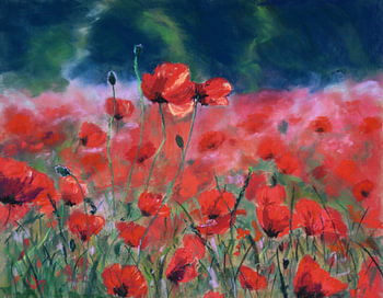 Rote Mohnblumen