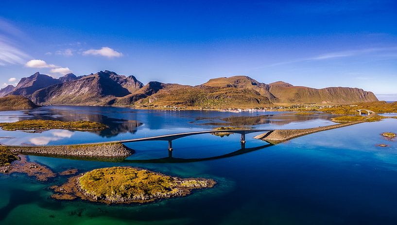 Typische bruggen op de Lofoten by Roy Poots