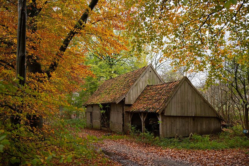old farm in a autumn forest in holland by ChrisWillemsen