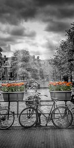 Typisch Amsterdam