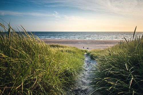 Small path to the beach