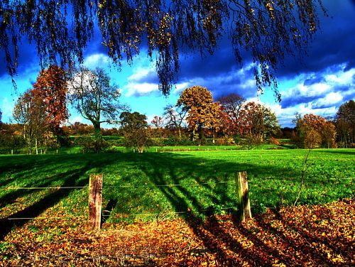 Diepe schaduwen in de herfst