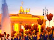 Berlin - Pariser Platz von Alexander Voss Miniaturansicht