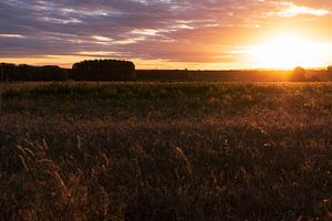 Een Franse zonsondergang van Rob Donders Beeldende kunst