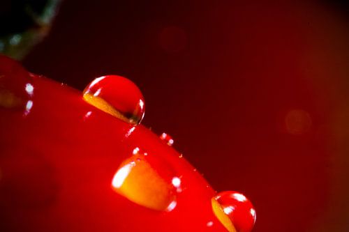 New planet with drops