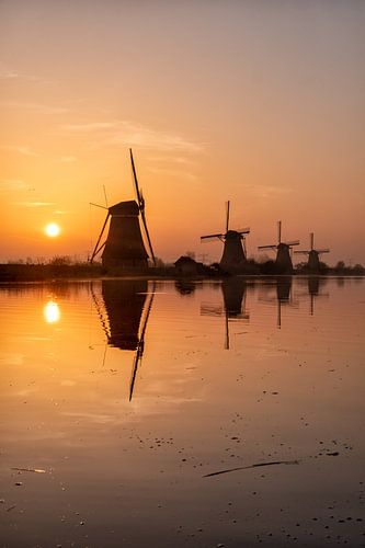 Moulins à vent Kinderdijk Lever de soleil