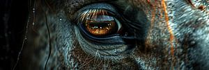 Augen auf die Natur