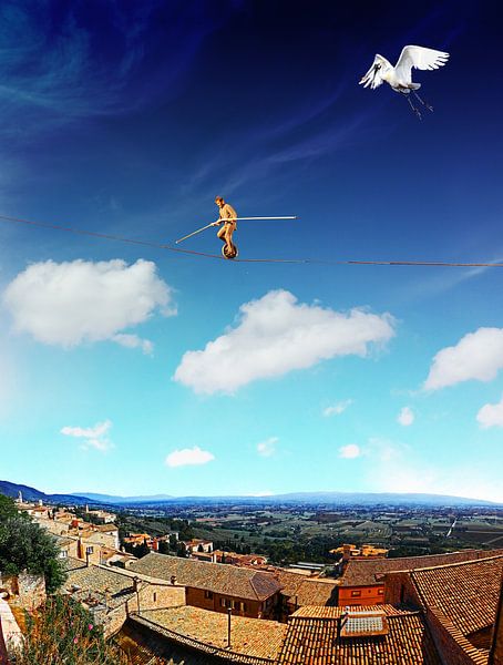 Like a Man on a Wire van Terra- Creative
