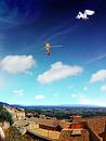 Like a Man on a Wire van Terra- Creative thumbnail