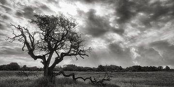 Surrealistisch landschap von Bob Bleeker