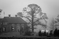 De was bij mist
