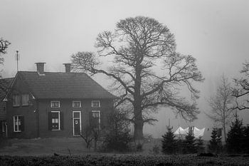 Die Wäsche im Nebel