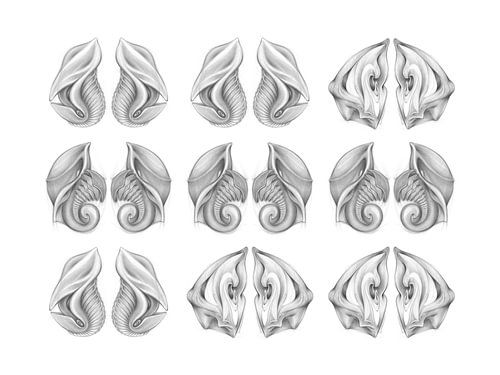 Patroon van imaginaire levensvormen 2