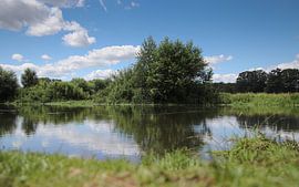 natuur in de zomer van Fotografie John van der Veen