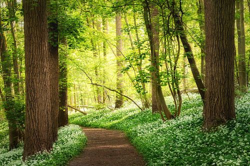 Just follow your nose!!!