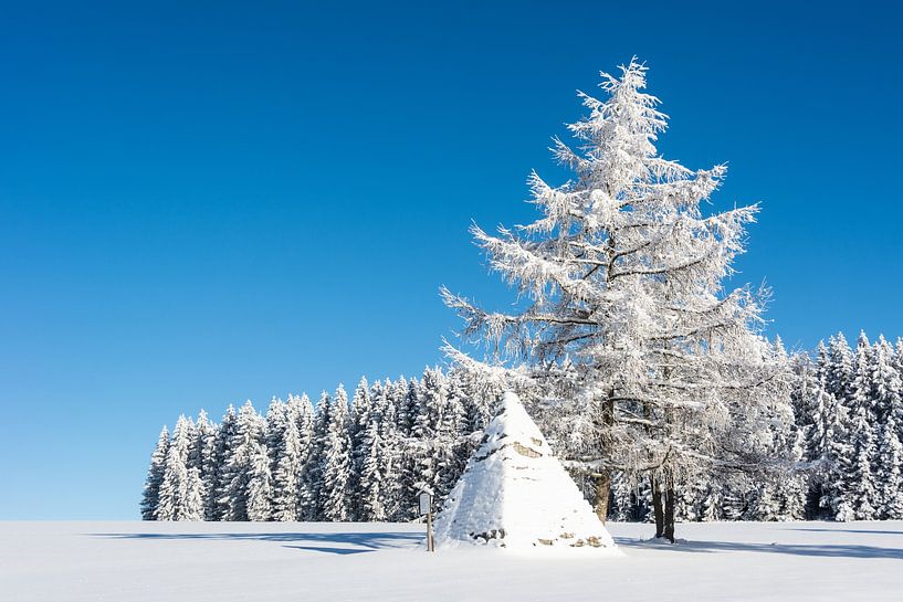 Winterse sneeuw van Johnny Flash